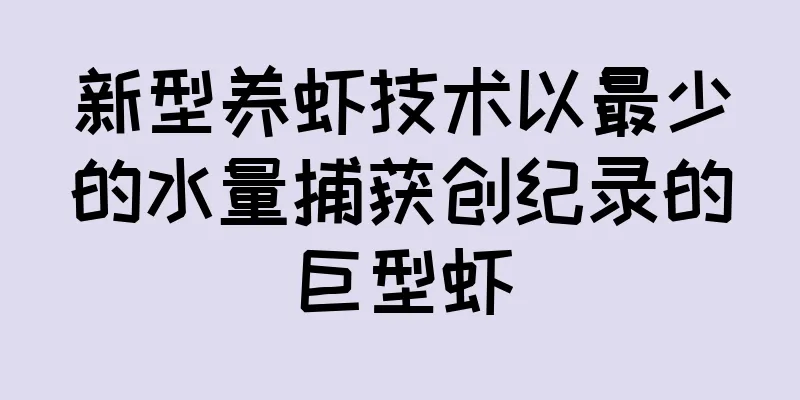新型养虾技术以最少的水量捕获创纪录的巨型虾