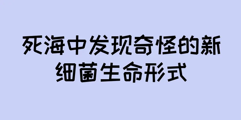 死海中发现奇怪的新细菌生命形式