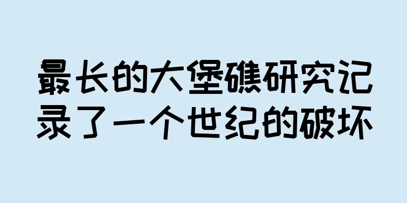 最长的大堡礁研究记录了一个世纪的破坏