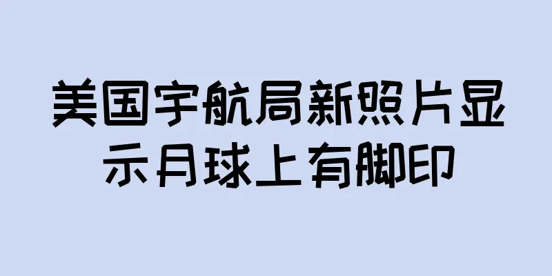 美国宇航局新照片显示月球上有脚印