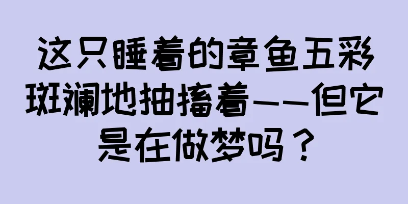 这只睡着的章鱼五彩斑斓地抽搐着——但它是在做梦吗？