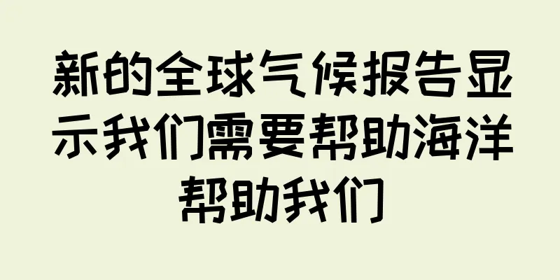 新的全球气候报告显示我们需要帮助海洋帮助我们