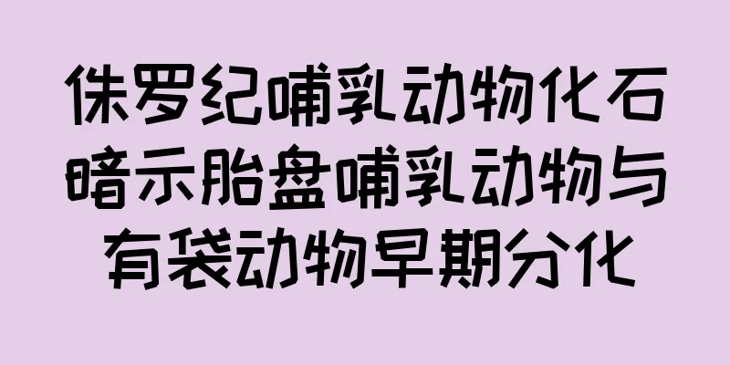 侏罗纪哺乳动物化石暗示胎盘哺乳动物与有袋动物早期分化