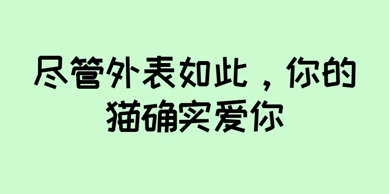 尽管外表如此，你的猫确实爱你