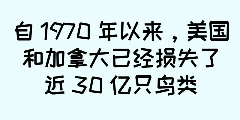 自 1970 年以来，美国和加拿大已经损失了近 30 亿只鸟类