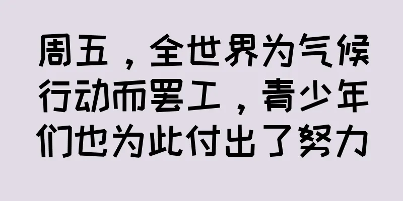 周五，全世界为气候行动而罢工，青少年们也为此付出了努力