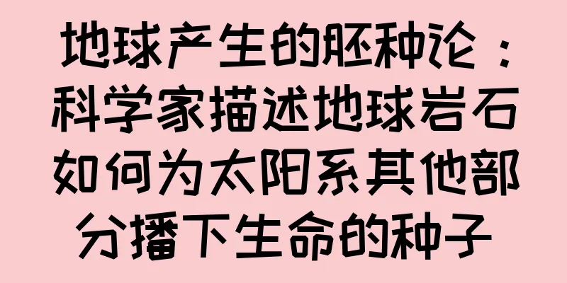 地球产生的胚种论：科学家描述地球岩石如何为太阳系其他部分播下生命的种子