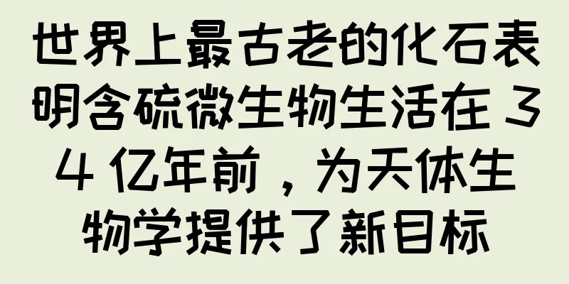 世界上最古老的化石表明含硫微生物生活在 34 亿年前，为天体生物学提供了新目标