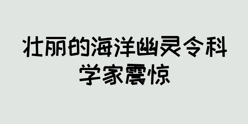 壮丽的海洋幽灵令科学家震惊