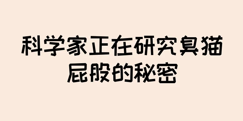 科学家正在研究臭猫屁股的秘密
