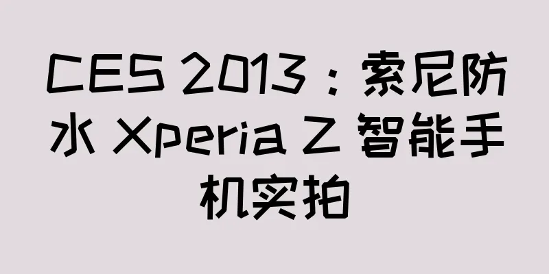 CES 2013：索尼防水 Xperia Z 智能手机实拍