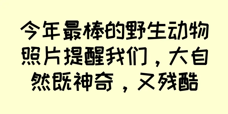 今年最棒的野生动物照片提醒我们，大自然既神奇，又残酷