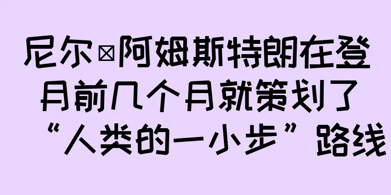尼尔·阿姆斯特朗在登月前几个月就策划了“人类的一小步”路线