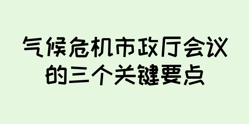 气候危机市政厅会议的三个关键要点