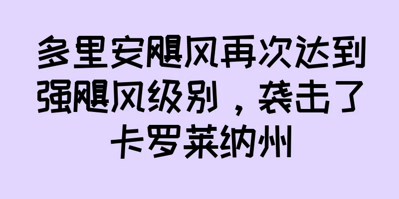 多里安飓风再次达到强飓风级别，袭击了卡罗莱纳州