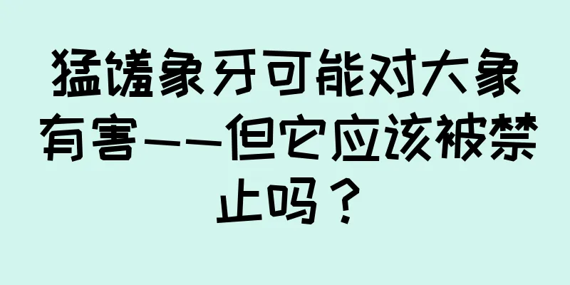 猛犸象牙可能对大象有害——但它应该被禁止吗？