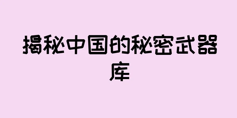 揭秘中国的秘密武器库