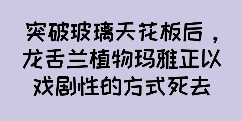 突破玻璃天花板后，龙舌兰植物玛雅正以戏剧性的方式死去
