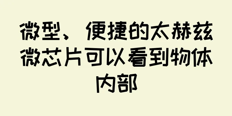 微型、便捷的太赫兹微芯片可以看到物体内部