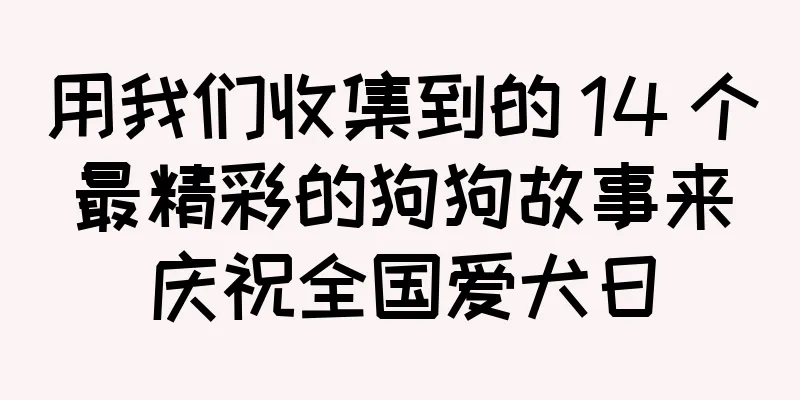 用我们收集到的 14 个最精彩的狗狗故事来庆祝全国爱犬日