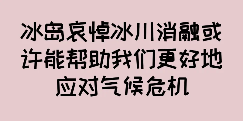 冰岛哀悼冰川消融或许能帮助我们更好地应对气候危机
