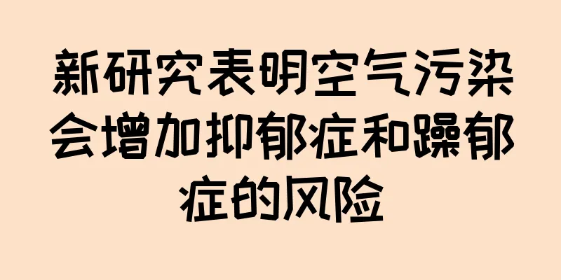 新研究表明空气污染会增加抑郁症和躁郁症的风险
