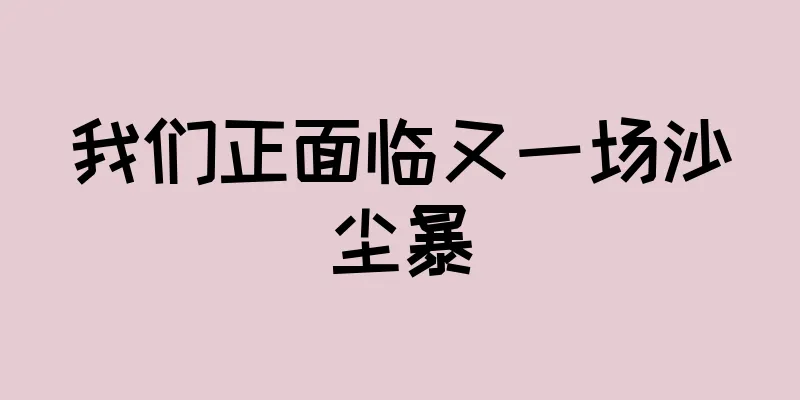 我们正面临又一场沙尘暴