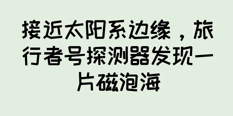接近太阳系边缘，旅行者号探测器发现一片磁泡海