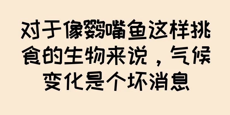 对于像鹦嘴鱼这样挑食的生物来说，气候变化是个坏消息