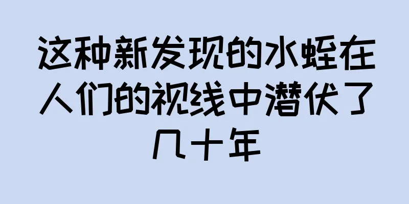 这种新发现的水蛭在人们的视线中潜伏了几十年