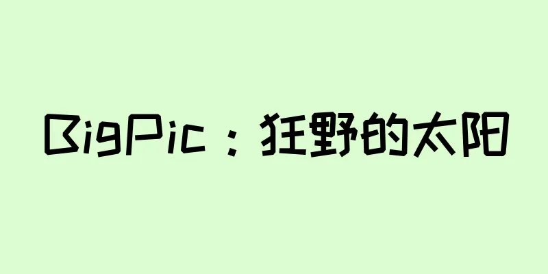 BigPic：狂野的太阳