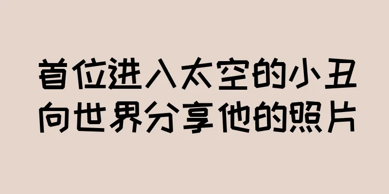 首位进入太空的小丑向世界分享他的照片