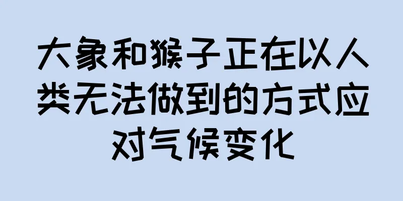 大象和猴子正在以人类无法做到的方式应对气候变化
