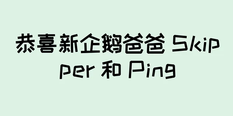 恭喜新企鹅爸爸 Skipper 和 Ping