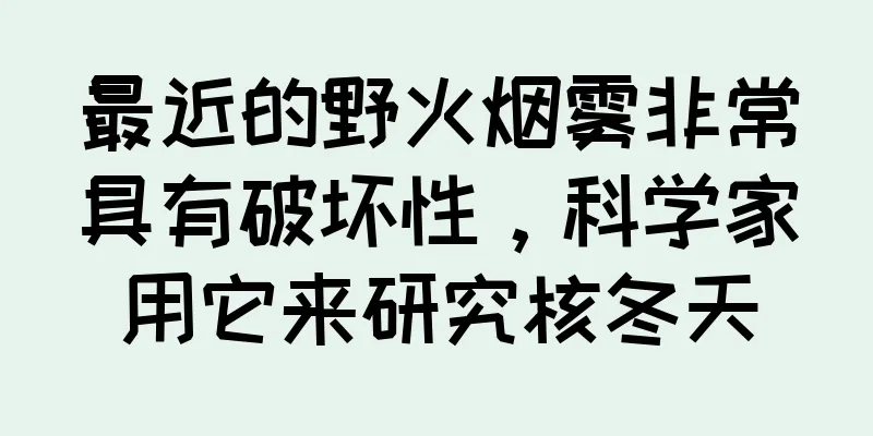 最近的野火烟雾非常具有破坏性，科学家用它来研究核冬天