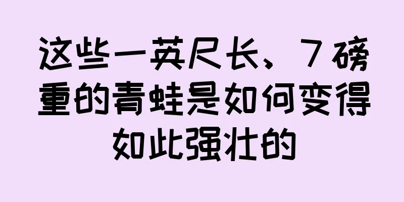 这些一英尺长、7 磅重的青蛙是如何变得如此强壮的