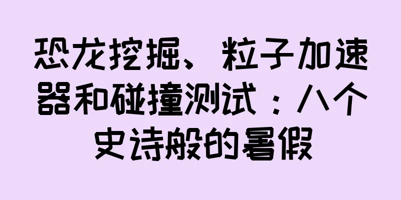 恐龙挖掘、粒子加速器和碰撞测试：八个史诗般的暑假