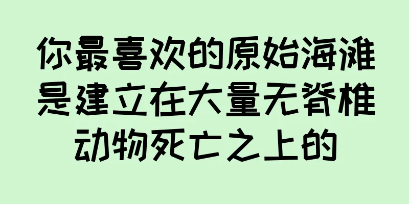 你最喜欢的原始海滩是建立在大量无脊椎动物死亡之上的