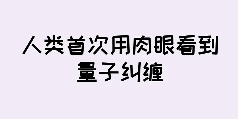 人类首次用肉眼看到量子纠缠