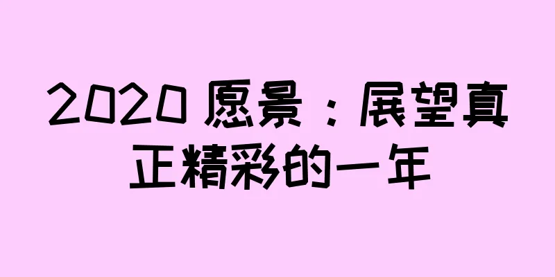 2020 愿景：展望真正精彩的一年
