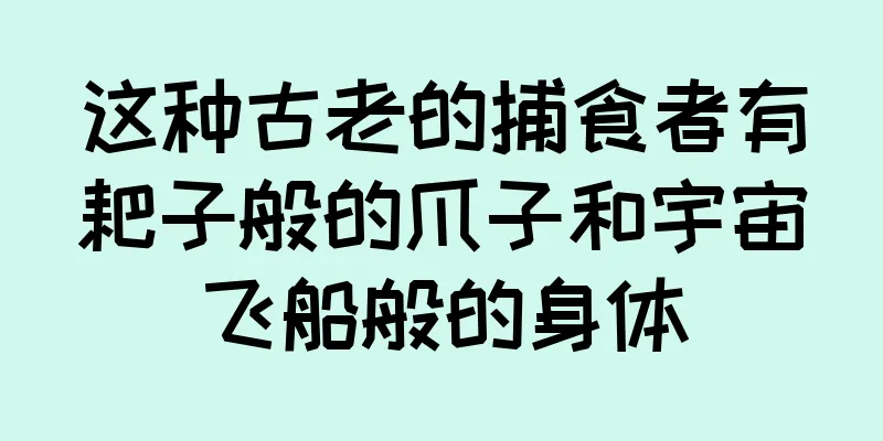 这种古老的捕食者有耙子般的爪子和宇宙飞船般的身体