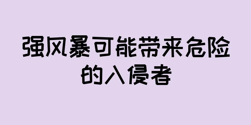 强风暴可能带来危险的入侵者
