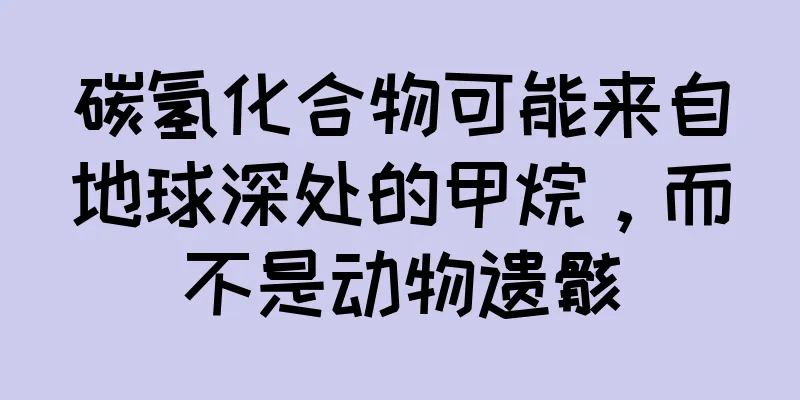 碳氢化合物可能来自地球深处的甲烷，而不是动物遗骸