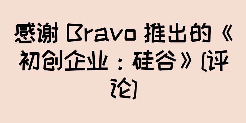 感谢 Bravo 推出的《初创企业：硅谷》[评论]