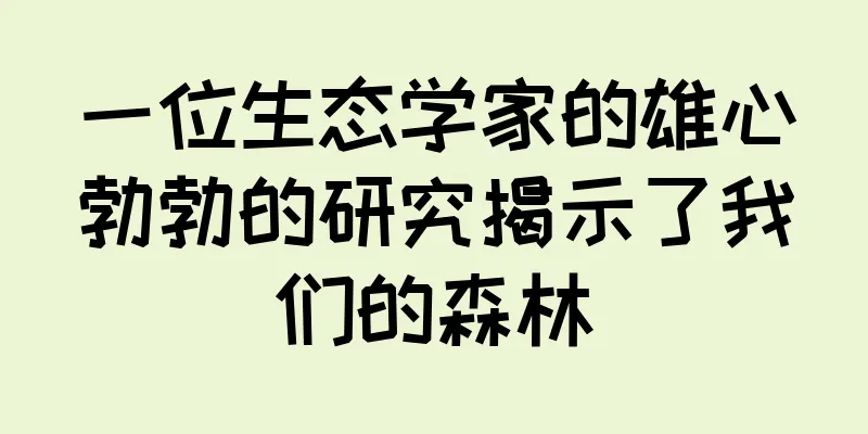 一位生态学家的雄心勃勃的研究揭示了我们的森林