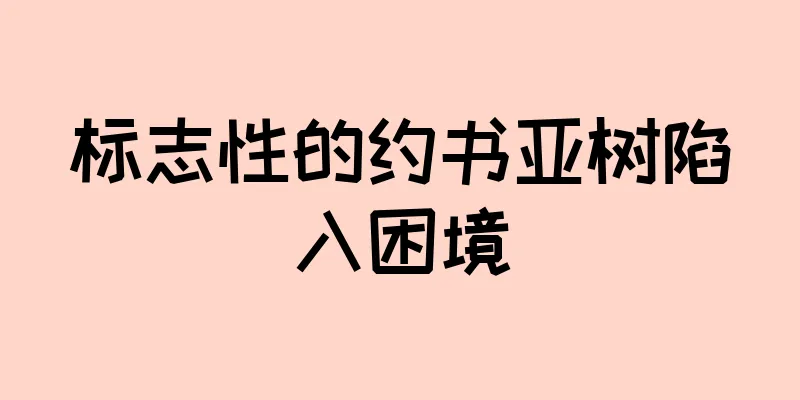 标志性的约书亚树陷入困境