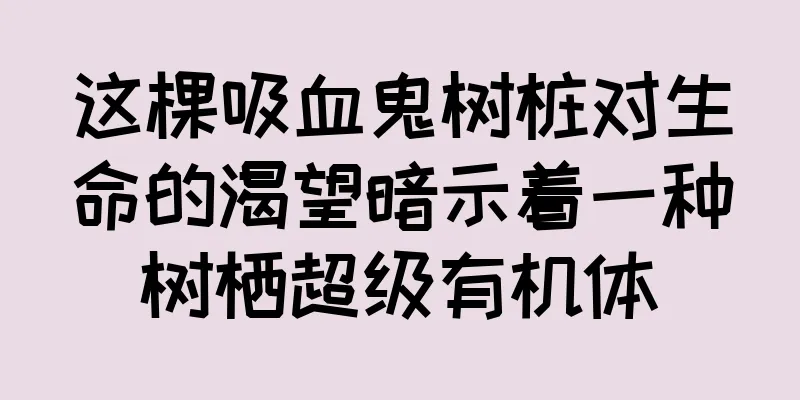 这棵吸血鬼树桩对生命的渴望暗示着一种树栖超级有机体