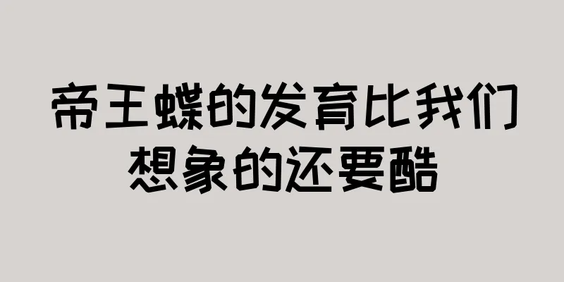 帝王蝶的发育比我们想象的还要酷