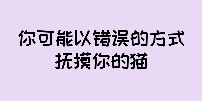 你可能以错误的方式抚摸你的猫