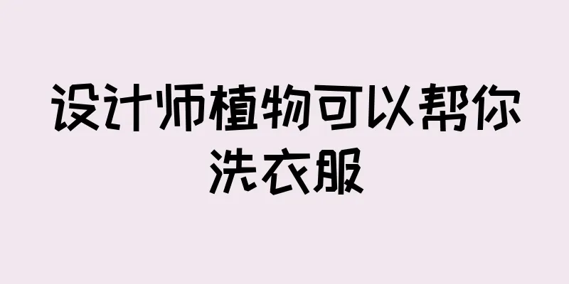 设计师植物可以帮你洗衣服